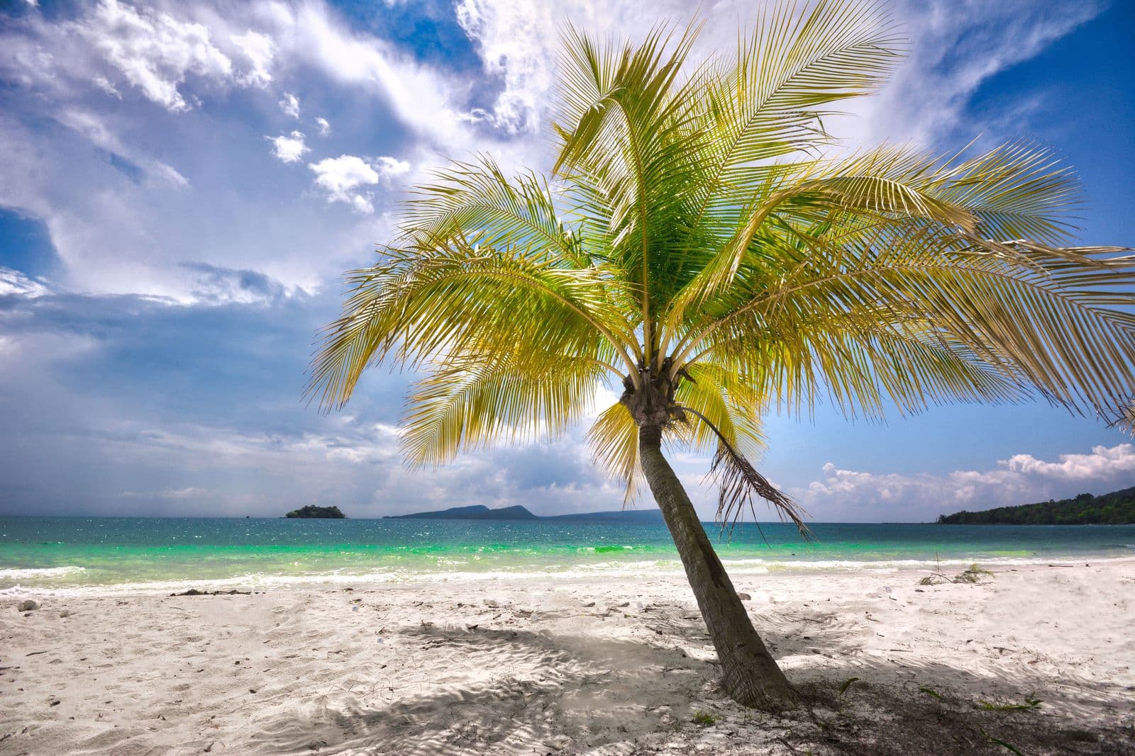 Palm tree, white sand and turquoise sea on Koh Rong, Cambodia